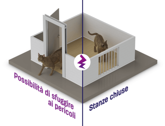 Vie di fuga