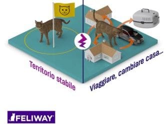 Stabilità