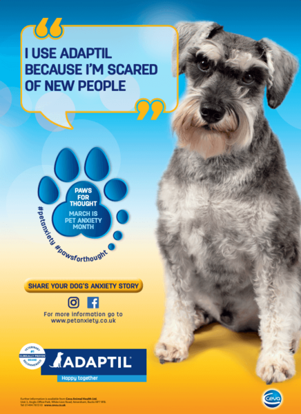 pet anxiety month