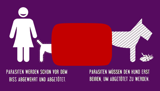 Vectra-Video Vorschau