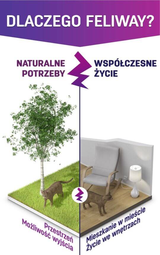 przestrzeń