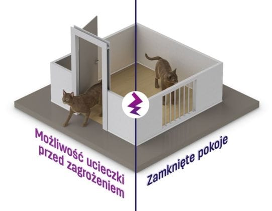 ucieczka