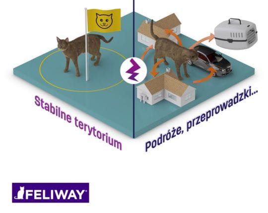 stabilność