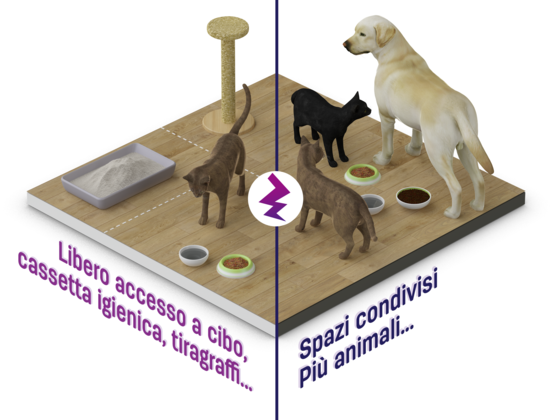 autonomia