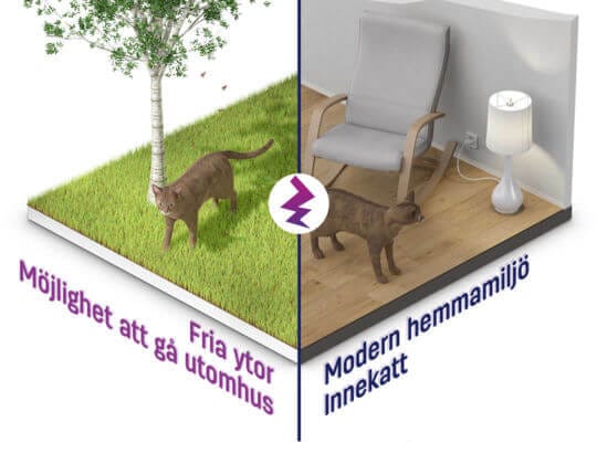 Konflikt i utrymmet