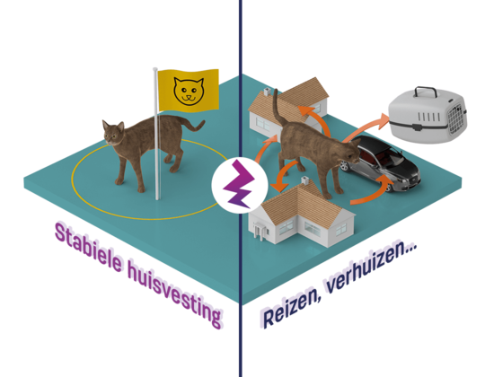 Hoe kan ons moderne leven botsen met de natuurlijke behoeften van katten? 5. Stabiliteit...