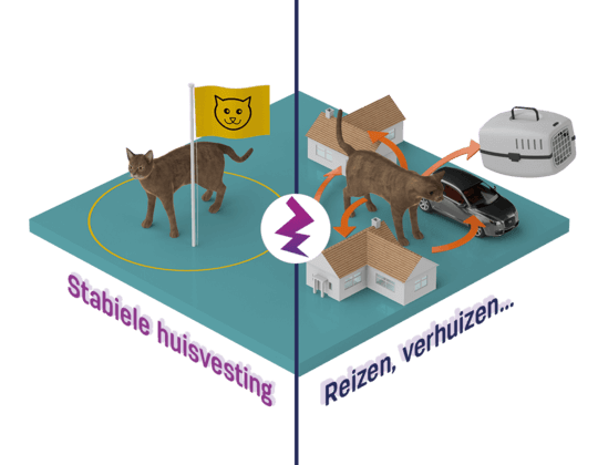Hoe kan ons moderne leven botsen met de natuurlijke behoeften van katten? 5. Stabiliteit...