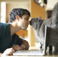 confident cat nuzzle
