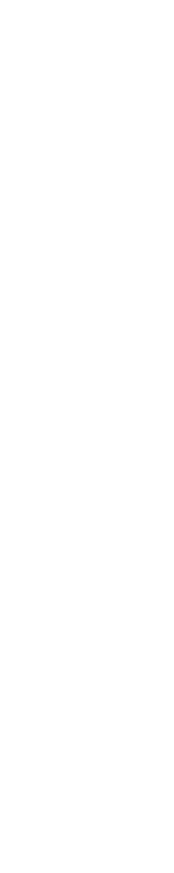 insetos