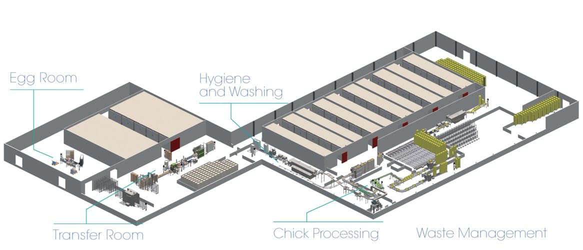 Whole Hatchery / What we offer / Ecat ID