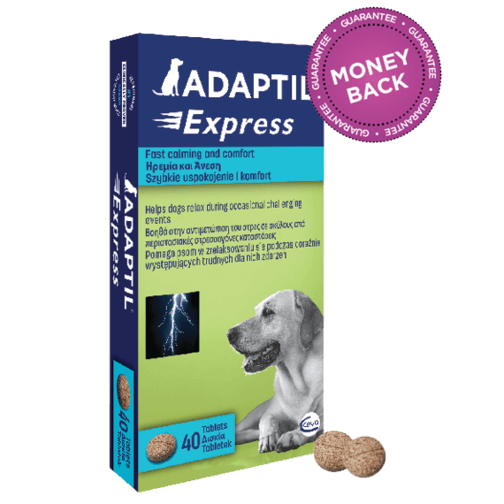 Adaptil for Dogs and Puppies