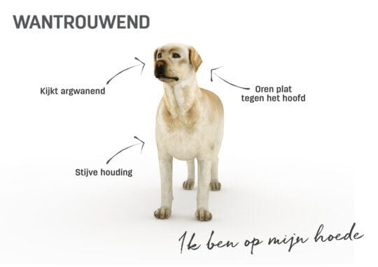 Lichaamstaal hond - wantrouwend