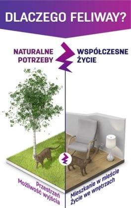 przestrzeń