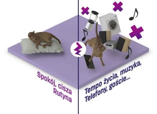 spokój