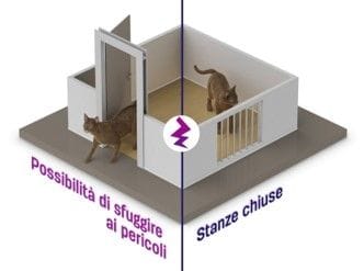 Vie di fuga