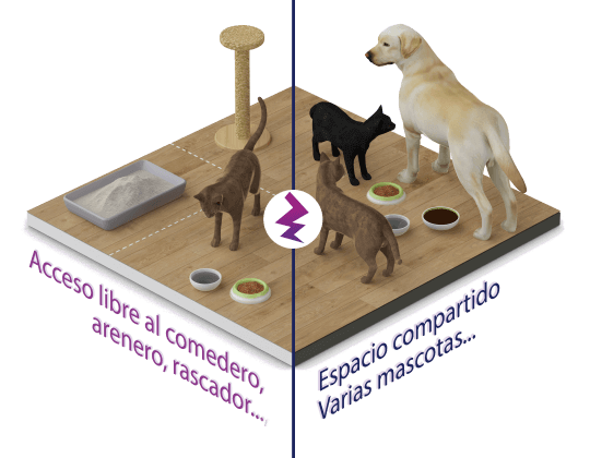 autonomía