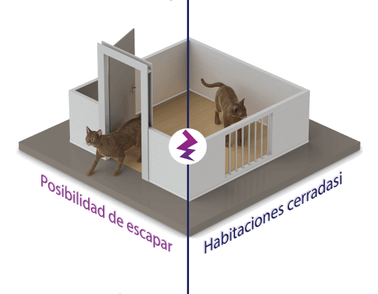 vías de escape