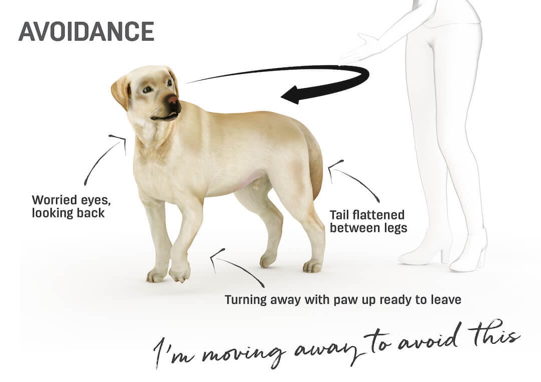 What does it mean when you dog...?