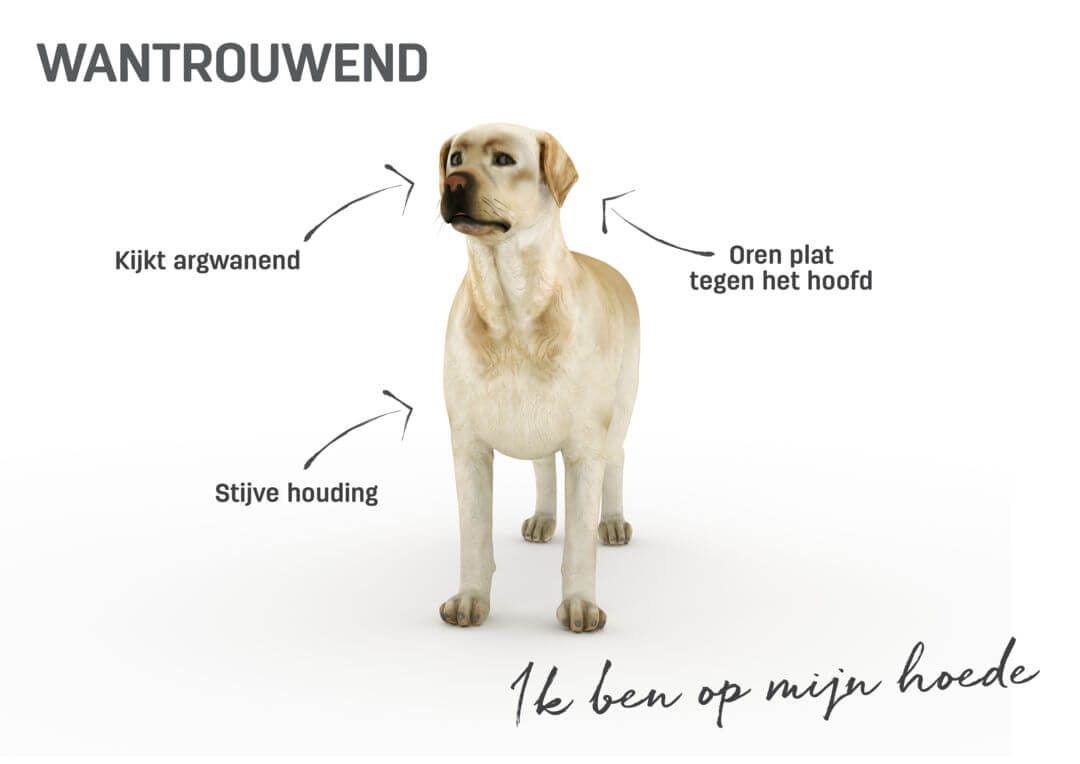 Herken de lichaamstaal van je hond