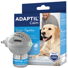 Vuoi sapere come usare ADAPTIL Calm Diffusore? Ecco a te un semplice video  esplicativo!, Vuoi sapere come usare ADAPTIL Calm Diffusore? Ecco a te un  semplice video esplicativo!, By ADAPTIL