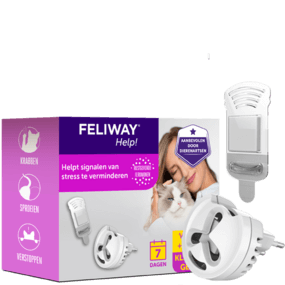     FELIWAY Help!
