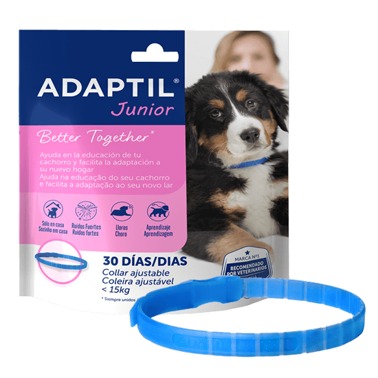 ADAPTIL Junior Collar