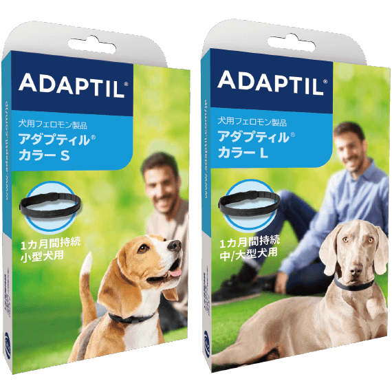 アダプティル カラー
