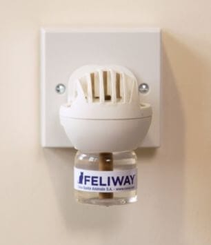 Feliway diffuseur