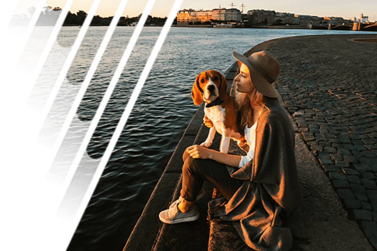 Heartworm DISEASES Worldwide