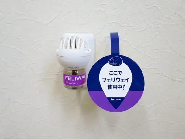 センター内では、猫の診療体制にフェリウェイを活用している