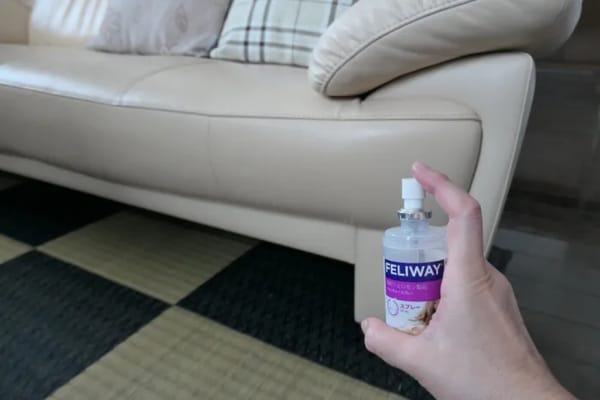 愛猫がストレス行動をみせる場所に！