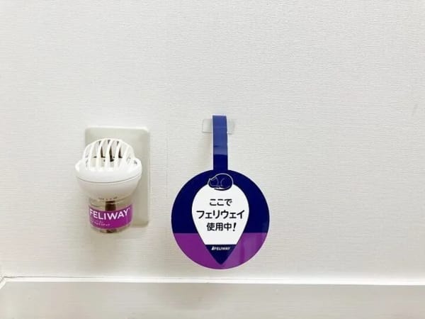 院内にもフェリエイ使用中