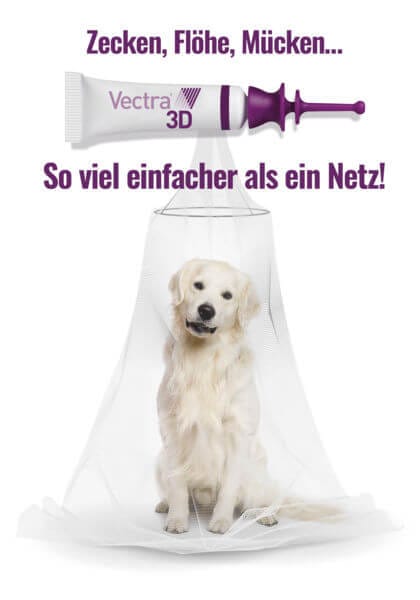 Mucken Beim Hund Vectra