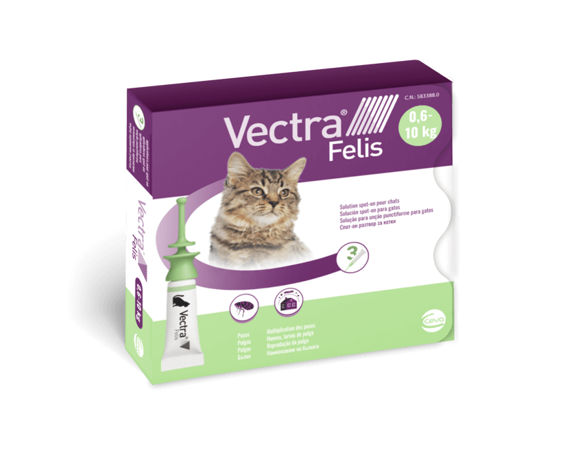 Vectra ® Felis para gatos / Cat / Vectra 2019