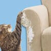 HOW TO STOP YOUR CAT ## SCRATCHING FURNITURE?