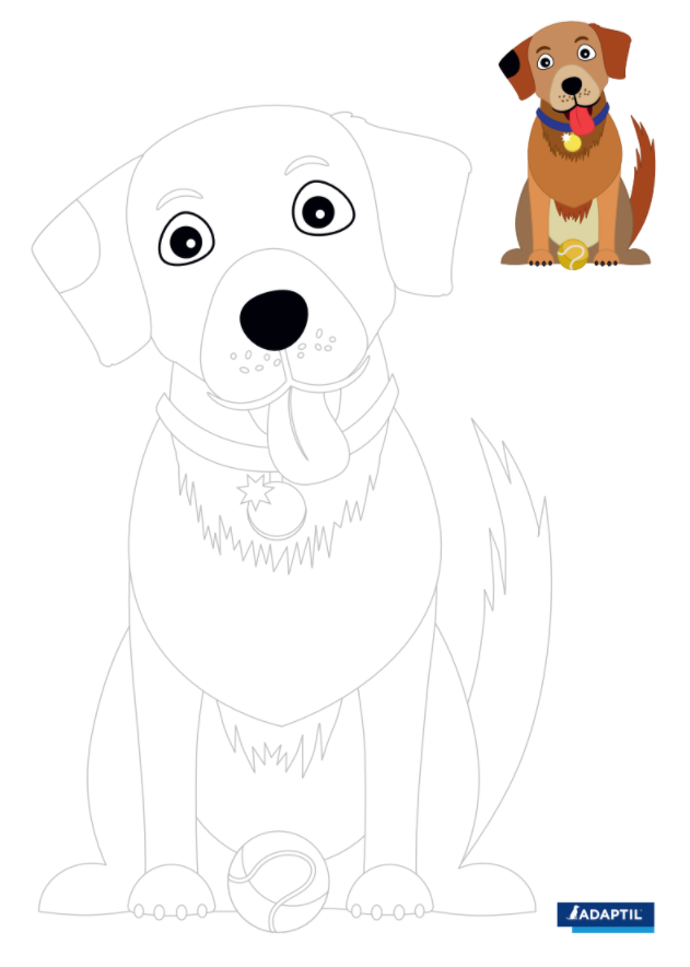 Colour To Win Dog Adaptil